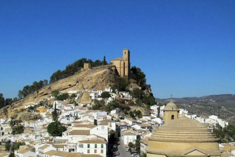 Landejendom i Montefrio, Granada, Montefrio - € 360.000 | Ref: 184 - foto 20